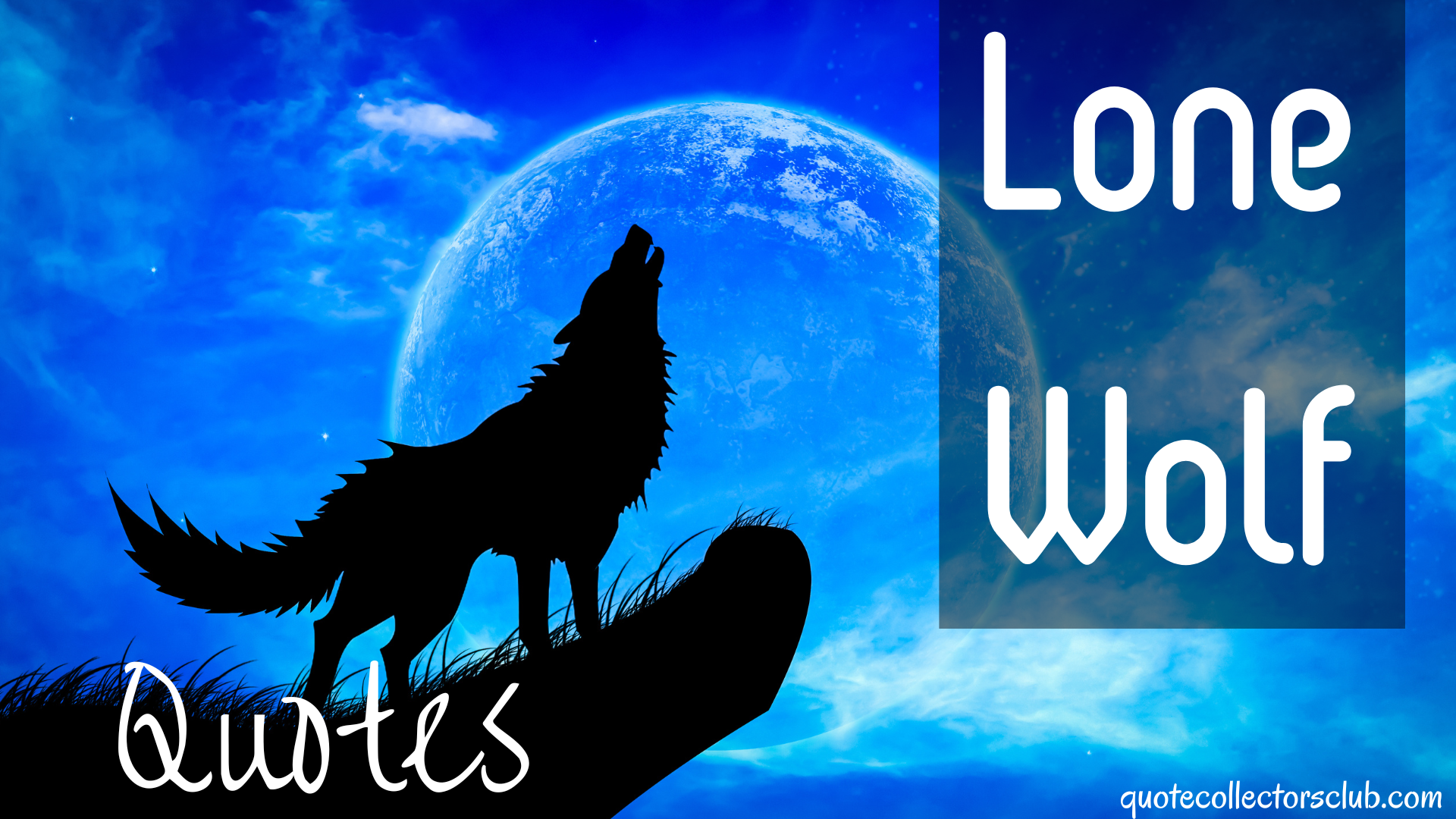 31 Best Lone-Wolf Quotes to Inspire You to Go Your Own Way