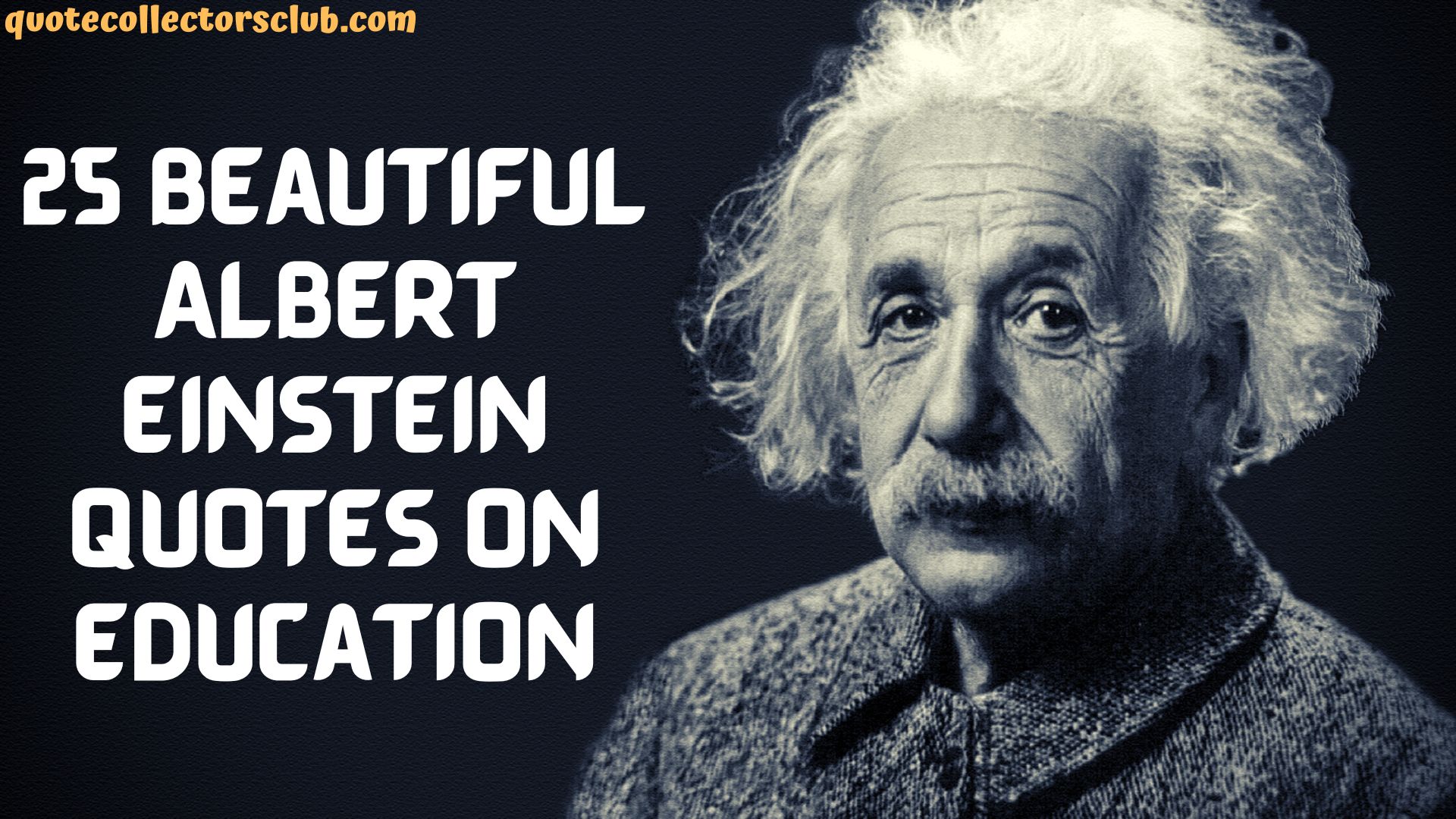 Einstein Quotes Education