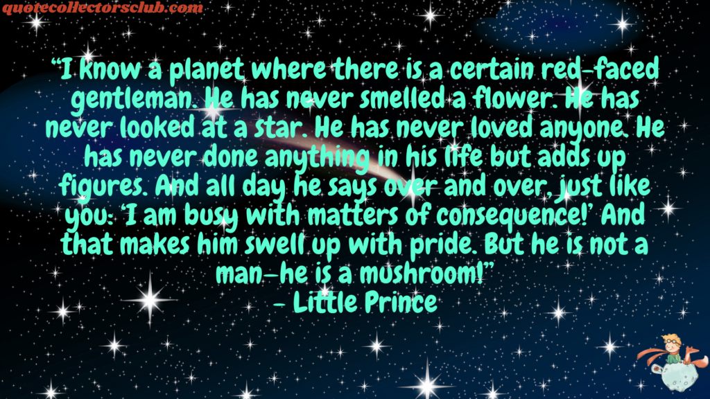 little prince quotes
