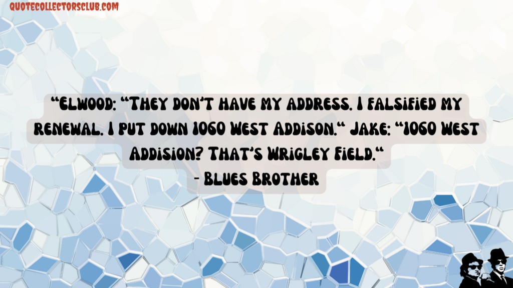blues brothers quotes
